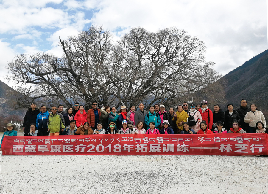 西藏阜康醫(yī)療2018年拓展訓(xùn)練——增強(qiáng)團(tuán)隊(duì)凝聚力、提升團(tuán)隊(duì)協(xié)作能力，更好地為患者服務(wù)